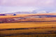 Fall Colours And Richardson Mountains, Dempster Highway, Yukon Wall Mural