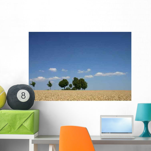 Sommerlandschaft 2 Wall Decal