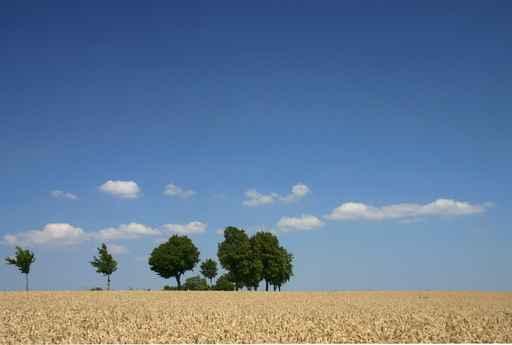 Sommerlandschaft 2 Wall Decal