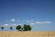 Sommerlandschaft 2 Wall Decal