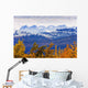 Artist's Choice Wall Mural