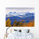 Artist's Choice Wall Mural