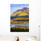 Artist's Choice Wall Mural