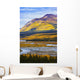 Artist's Choice Wall Mural