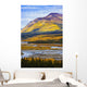 Artist's Choice Wall Mural
