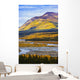 Artist's Choice Wall Mural