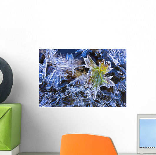 Artist's Choice Wall Mural