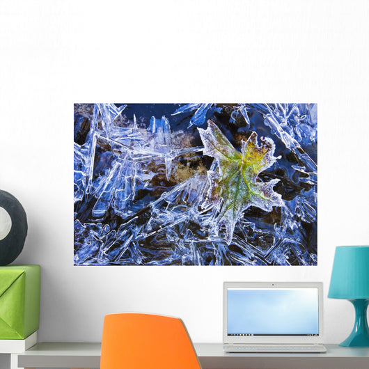 Artist's Choice Wall Mural