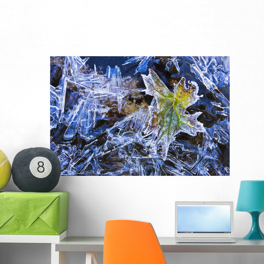 Artist's Choice Wall Mural