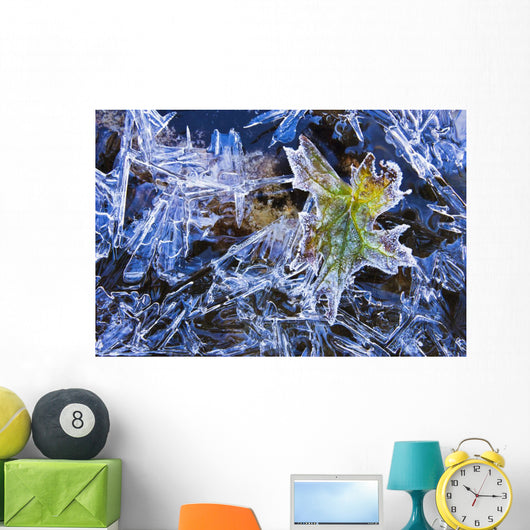 Artist's Choice Wall Mural