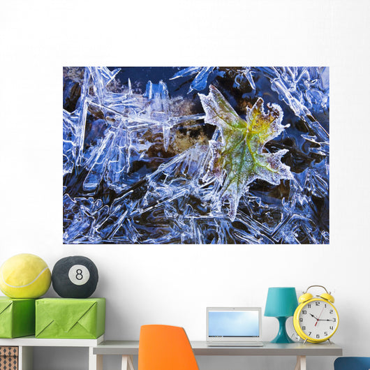 Artist's Choice Wall Mural