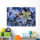 Artist's Choice Wall Mural