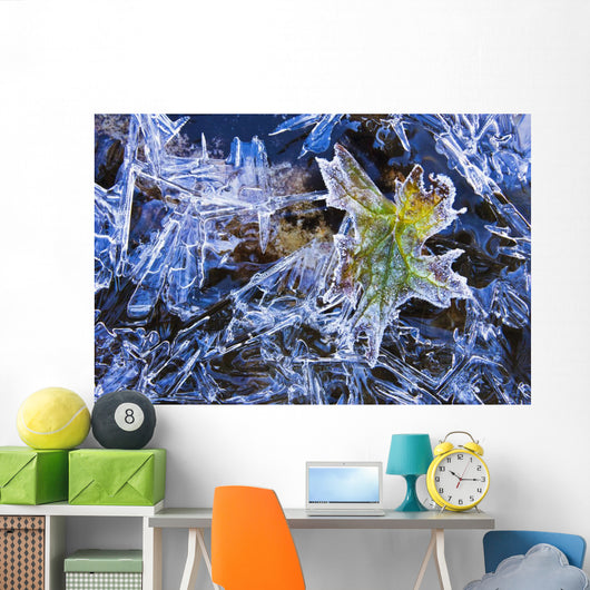 Artist's Choice Wall Mural