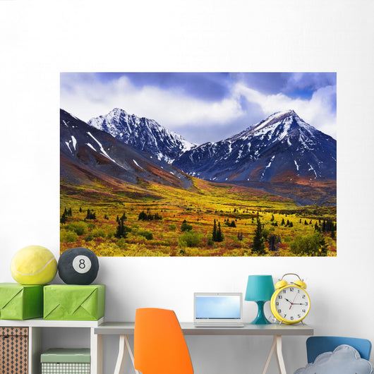 Fall Colours And Auriol Range, Kluane National Park, Yukon Wall Mural