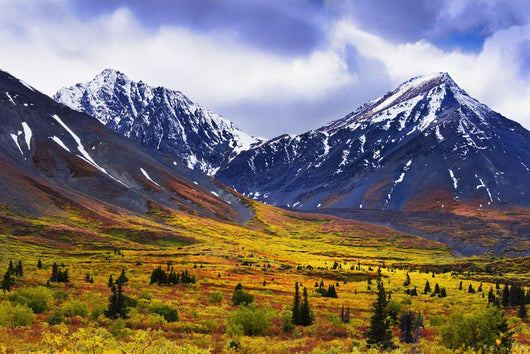 Fall Colours And Auriol Range, Kluane National Park, Yukon Wall Mural