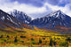 Fall Colours And Auriol Range, Kluane National Park, Yukon Wall Mural