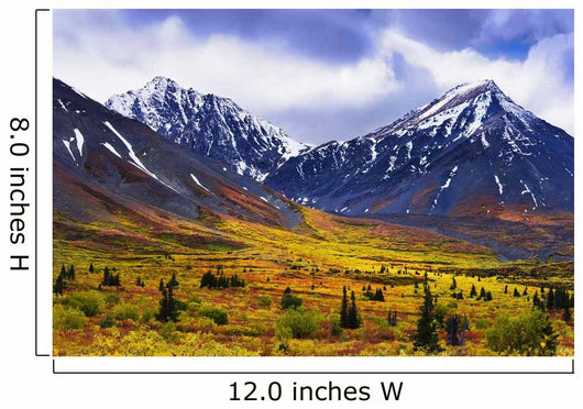 Fall Colours And Auriol Range, Kluane National Park, Yukon Wall Mural