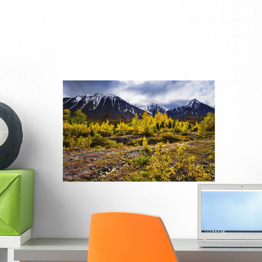 Artist's Choice Wall Mural