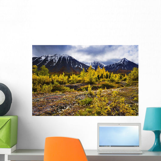 Artist's Choice Wall Mural