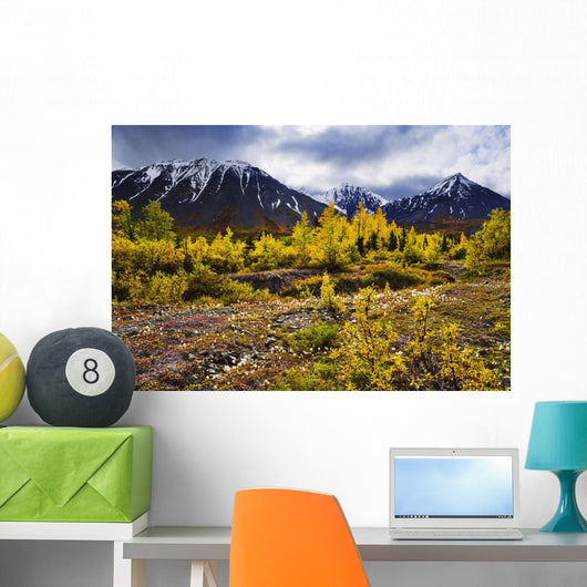 Artist's Choice Wall Mural