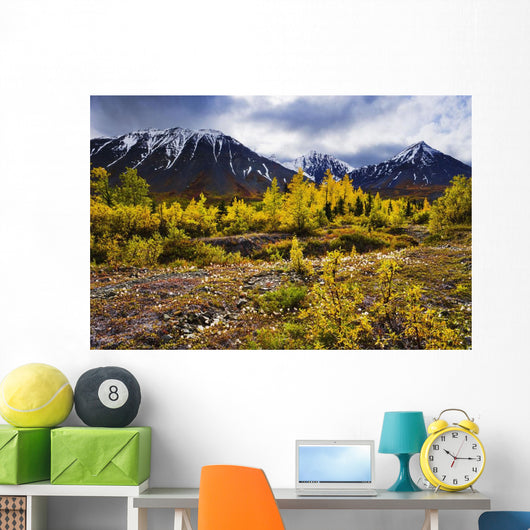 Artist's Choice Wall Mural