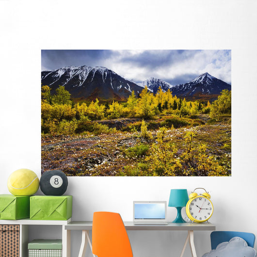 Artist's Choice Wall Mural