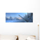 Sunrise Over The Morley River In Winter, Yukon Wall Mural