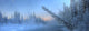Sunrise Over The Morley River In Winter, Yukon Wall Mural
