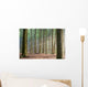 Through the Trees - Hazy Forest Morning Wall Mural