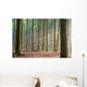Through the Trees - Hazy Forest Morning Wall Mural