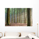 Through the Trees - Hazy Forest Morning Wall Mural