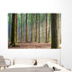 Through the Trees - Hazy Forest Morning Wall Mural