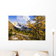 Artist's Choice Wall Mural