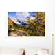 Artist's Choice Wall Mural