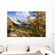 Artist's Choice Wall Mural