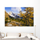 Artist's Choice Wall Mural