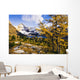 Artist's Choice Wall Mural