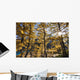 Artist's Choice Wall Mural