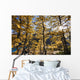 Artist's Choice Wall Mural