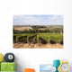 Vineyard Portugal