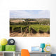 Vineyard Portugal
