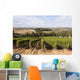 Vineyard Portugal