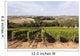 Vineyard Portugal