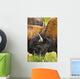 Bison Grazing, Northern British Columbia Wall Mural