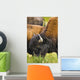 Bison Grazing, Northern British Columbia Wall Mural