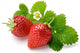 strawberry Wall Decal