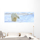 Polar Bear, Churchill, Manitoba Wall Mural