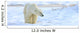 Polar Bear, Churchill, Manitoba Wall Mural