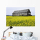 Canola Field And Old Barn Wall Mural