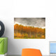 Poplar Forest In Autumn, Teslin, Yukon Wall Mural